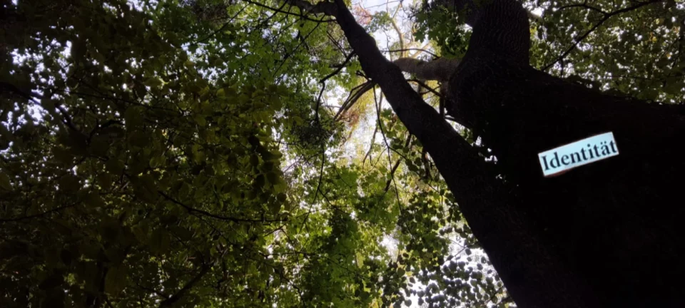 Ein starker Baum von unten